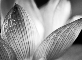 售后无忧放心的ddos网页端