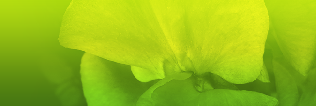 怎么买便宜正版的ddos网页端